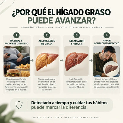 AÉLIA | CUIDADO HEPÁTICO Una fórmula diaria para cuidar tu hígado